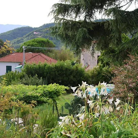 Cinque Terre, Tuscany, Liguria, Lerici, #1 Apartment *